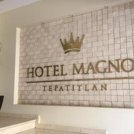 Hotel Magno Tepatitlán,位于特帕蒂特兰的酒店