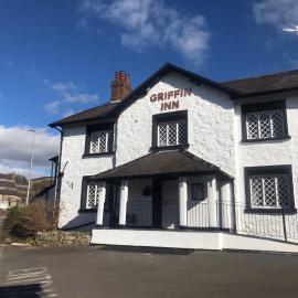 Griffin Inn,位于里辛的酒店