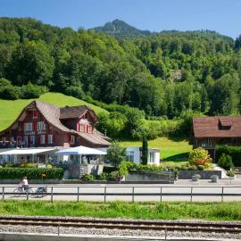 Landgasthof Zollhaus，位于萨克瑟恩的酒店