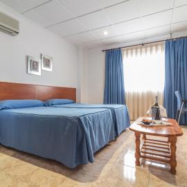 Hotel Reig,位于佩戈的酒店
