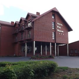 Hotel Pod Dębami，位于泰雷斯波尔的酒店