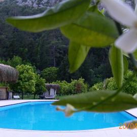Portalimo Lodge Hotel - Adult Only +12，位于契拉勒的酒店