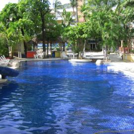 Hotel Delfines Acapulco by NG Hoteles，位于阿卡普尔科的酒店