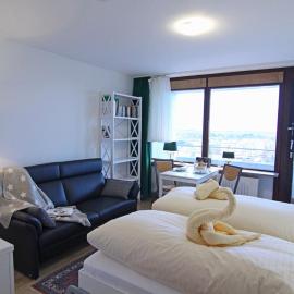 Ferienwohnung Binnenkiker，位于兰图姆的酒店