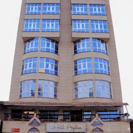 New Hotel Aquiline，位于阿鲁沙的酒店