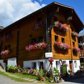 Distel，位于Ritzingen的酒店