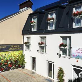 Pension Voesendorf，位于弗森多夫的酒店