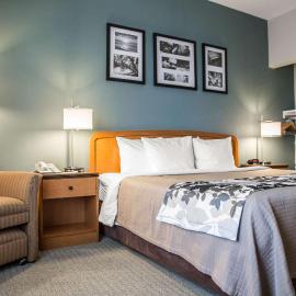 Sleep Inn & Suites Davenport - Quad Cities，位于贝滕多夫的酒店