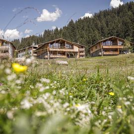 PRIVÀ Alpine Lodge，位于伦策海德的酒店