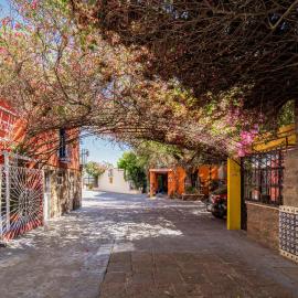 Hotel Posada Bugambilias，位于圣路易斯波托西的酒店