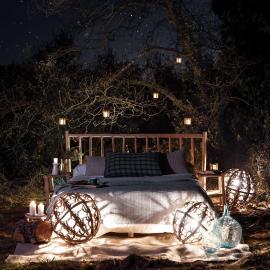 Nits de Bosc