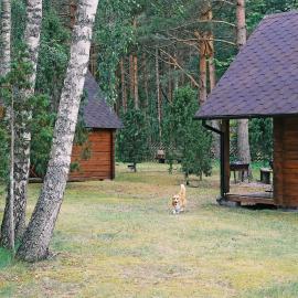 Niidupuu Camping，位于曼亚拉的酒店