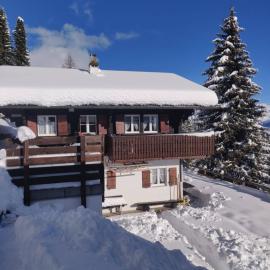 Chalet Grazia，位于利德阿尔卑斯的酒店