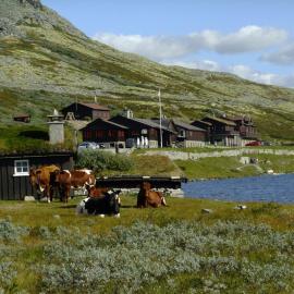 Smuksjøseter Fjellstue, Rondane Mountainlodge，位于霍夫灵恩的酒店