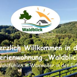 FeWo Waldblick，位于Waxweiler的酒店