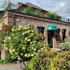 Rose Cottage in Rees die Seele baumeln lassen，位于雷斯的酒店