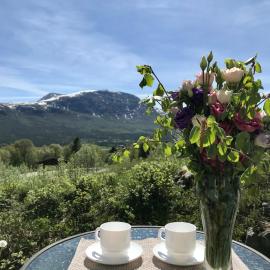 Private apartments!Oppdal Alpintun, Skisenter-Stølen，位于奥普达尔的酒店