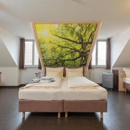 Radlhotel Wassertrüdingen，位于Wassertrüdingen的酒店