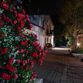 La Quiete，位于蒙泰内罗迪比萨恰的酒店