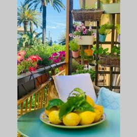 Mediterranean Spa Suite，位于蒙特罗索阿尔马雷的酒店
