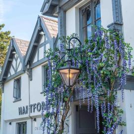 Hartford Hall on School Lane，位于诺斯维奇的酒店