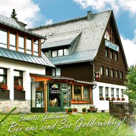 Ferienhotel Mühlleithen,位于克林根塔尔的酒店