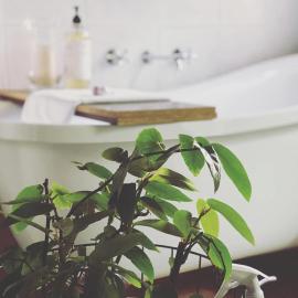 Treehouse Hideouts - Ground Level - Heygarth House Townhouse - Port of Echuca，位于伊丘卡的酒店