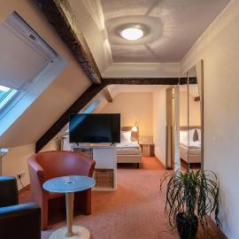 Hotel Altes Weinhaus，位于葡萄酒之路上的诺伊施塔特的酒店
