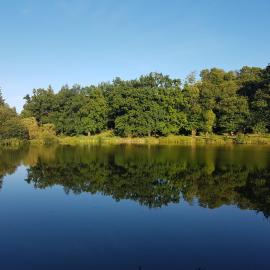 camping de la chagnée，位于Saint-Aubin-le-Cloud的酒店