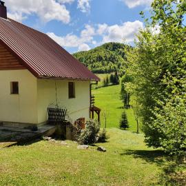 Forest house Masha