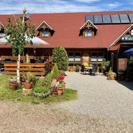 Waldhaus Lahnstein，位于兰施泰因的酒店