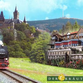Hotel Der Kräuterhof，位于韦尼格罗德的酒店