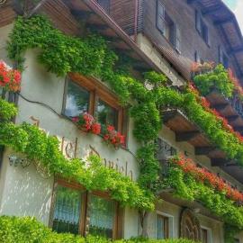 Hotel Daniela，位于博尔米奥的酒店