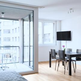 HITrental Basel Apartments，位于巴塞尔的酒店
