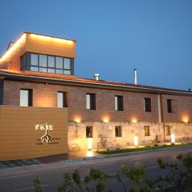 Hotel Raíz，位于Roa的酒店