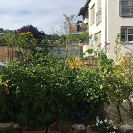 Ferienwohnung im Herzen von Kelheim，位于凯尔海姆的酒店