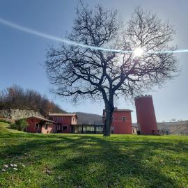 Agriturismo La Vita è Bella，位于法布里亚诺的酒店