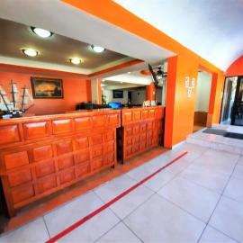 Hotel Costa Maria，位于卡门城的酒店