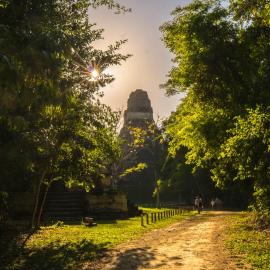 Jungle Lodge Tikal Hostal，位于蒂卡尔的酒店
