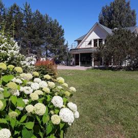 Willipu Guesthouse，位于Alatskivi的酒店