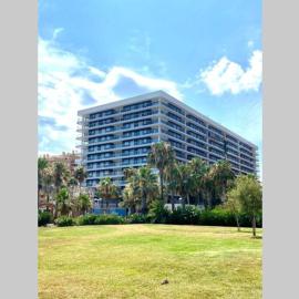 PRIMERA LINEA VISTAS AL MAR Y MONTAÑA SEA VIEWS 10TH Floor，位于奥罗佩萨德尔马的酒店