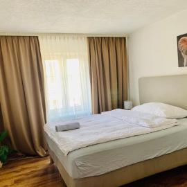 Swiss Hotel Krummen Eich Pratteln Free Parking，位于普拉特恩的酒店