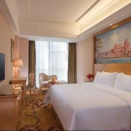 Vienna Hotel Shenzhen Baoneng City Plaza，位于龙岗的酒店
