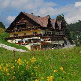 Hotel Turracherhof,位于图拉彻霍赫的酒店