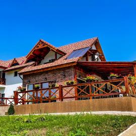 Pensiunea Balkan，位于Gornea的酒店