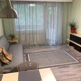 Spacious 1bdrm apartment near metro. Free parking，位于万塔的酒店