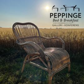 Peppinge Bed & Breakfast，位于Löderup的酒店