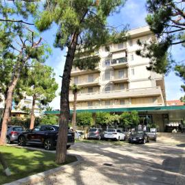 Hotel Pineta，位于圣贝内代托-德尔特龙托的酒店