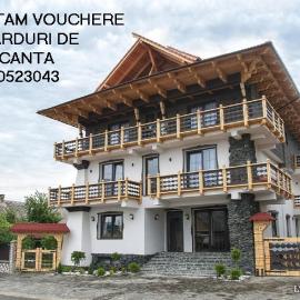 La Conacul Vesel Săpânța，位于瑟彭察的酒店