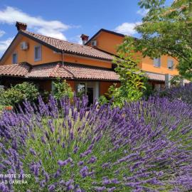 Apartma Lavanda，位于科佩尔的酒店